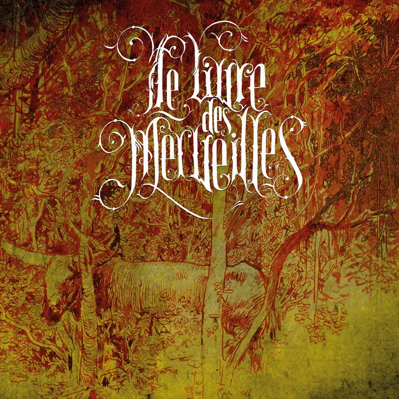 LE LIVRE DES MERVEILLES - CHROMB! (VINYLE 33T)