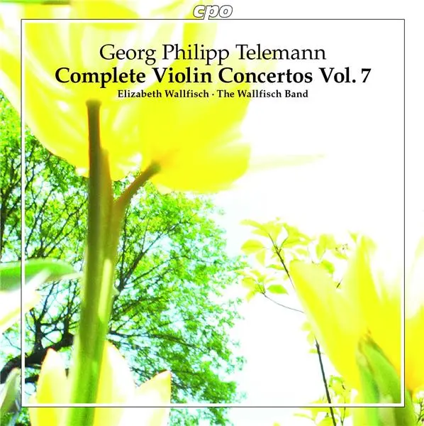 Les concertos pour violon Volume 7