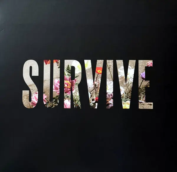 Lewis Capaldi | Survive