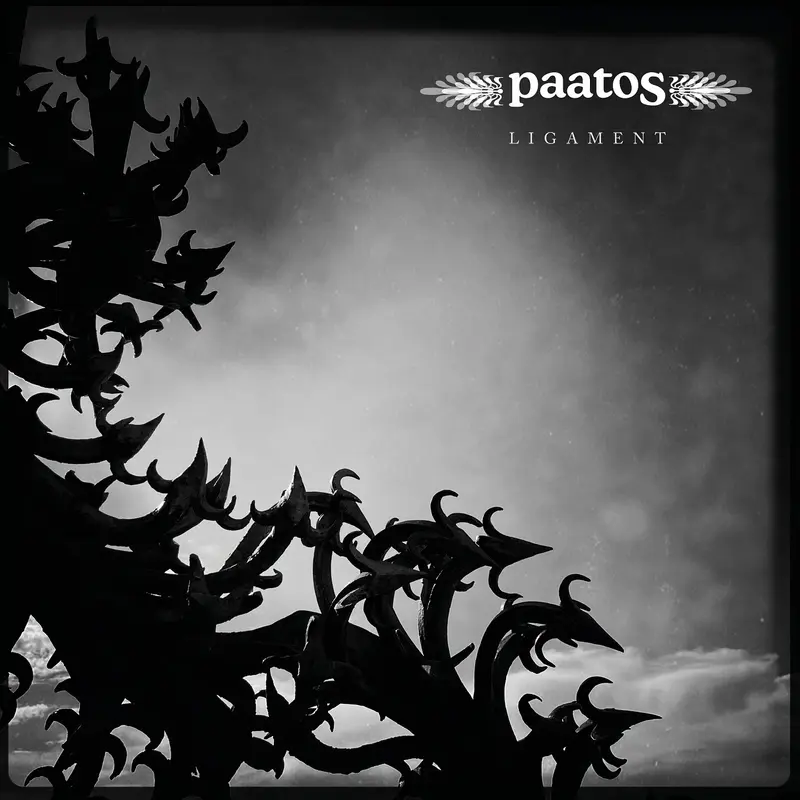 LIGAMENT - PAATOS (VINYLE 33T)