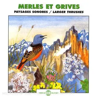 Merles et grives