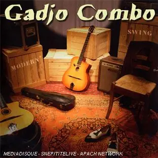 Modern swing