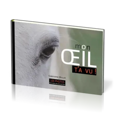 Mon œil t'a vu!