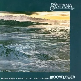 Moonflower