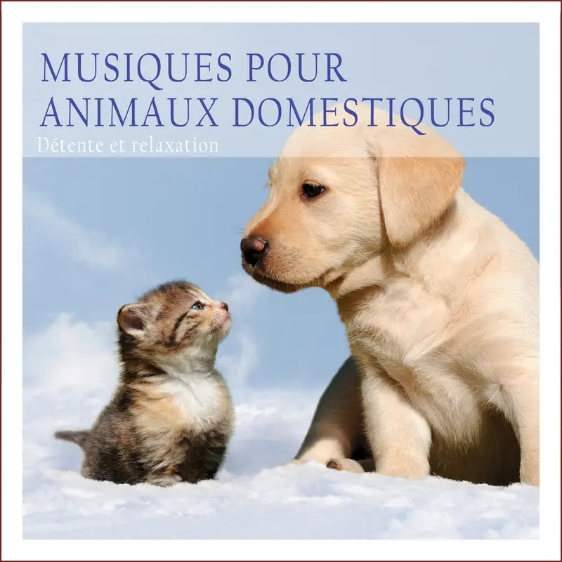 MUSIQUE POUR ANIMAUX DOMESTIQUES - ARGON RIFFER (CD)
