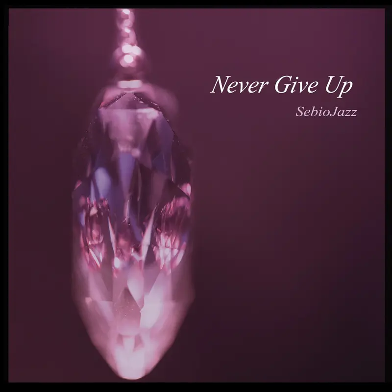 NEVER GIVE UP - SEBIOJAZZ FT CAROLINE GSELL (CD)