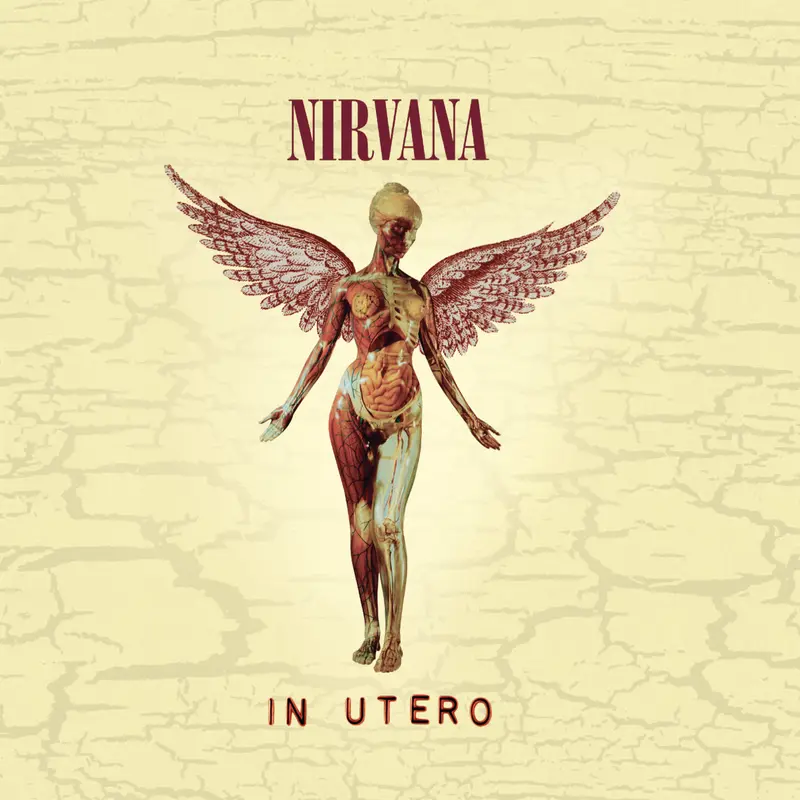 Nivrana | In utero