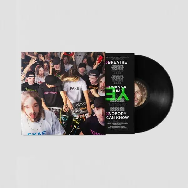 Nothing's Fake - Vinyle