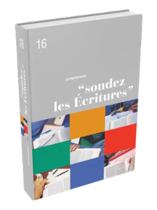 Occasion - Compléments "Sondez les écritures" volume 16