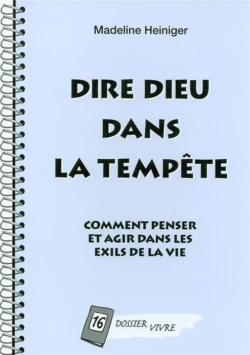 Occasion - Dire Dieu dans la tempête