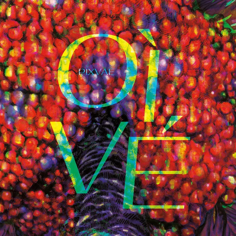 OI VE - PIXVAE (VINYLE 33T)