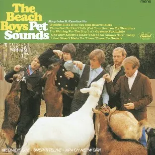 Pet sounds mono version