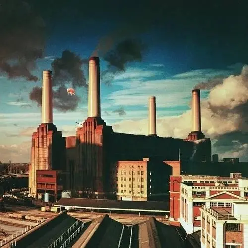 Pink Floyd | Animals - Vinyle