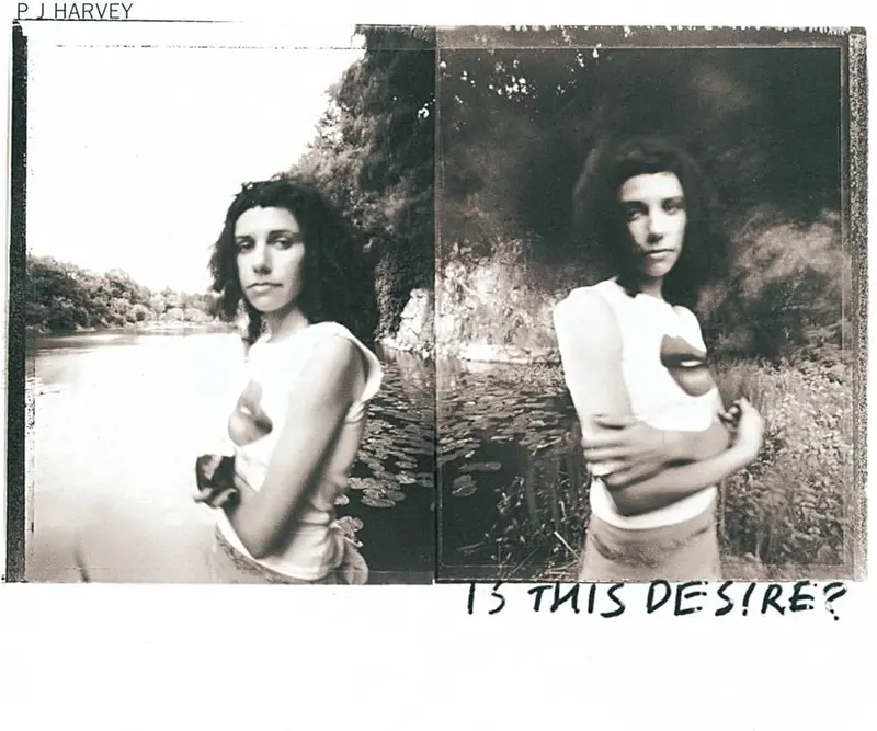 PJ Harvey | Is This Desire ?