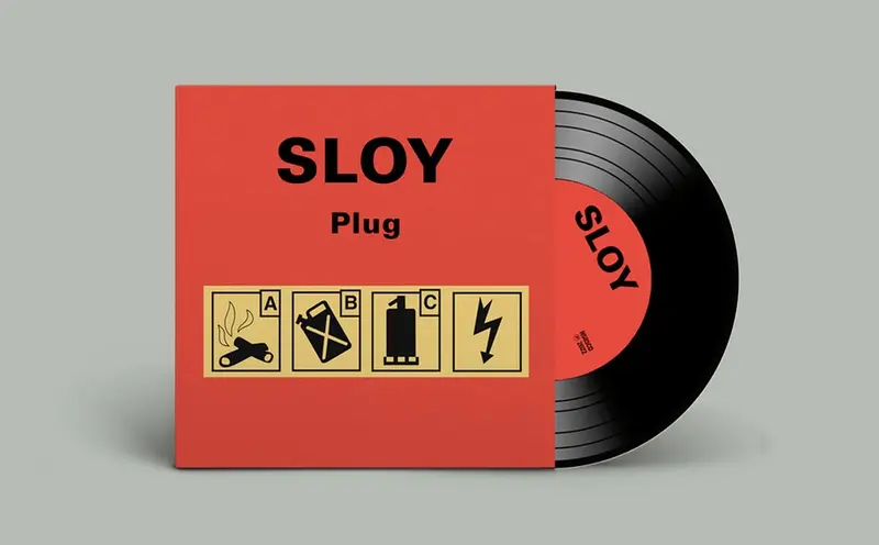 Plug