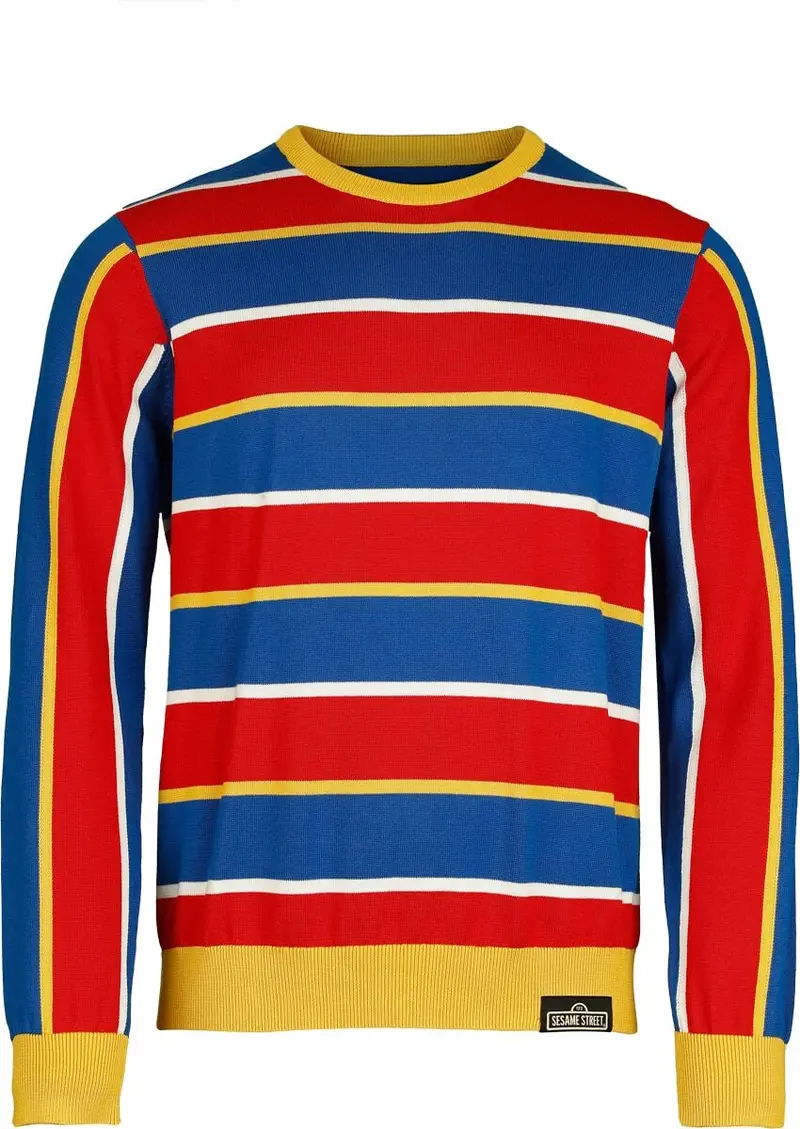 Pull tricoté de Sesame Street - Ernie - S à 3XL - pour Homme - multicolore