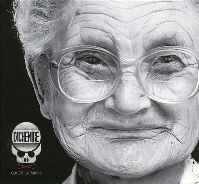 Qui est la punk