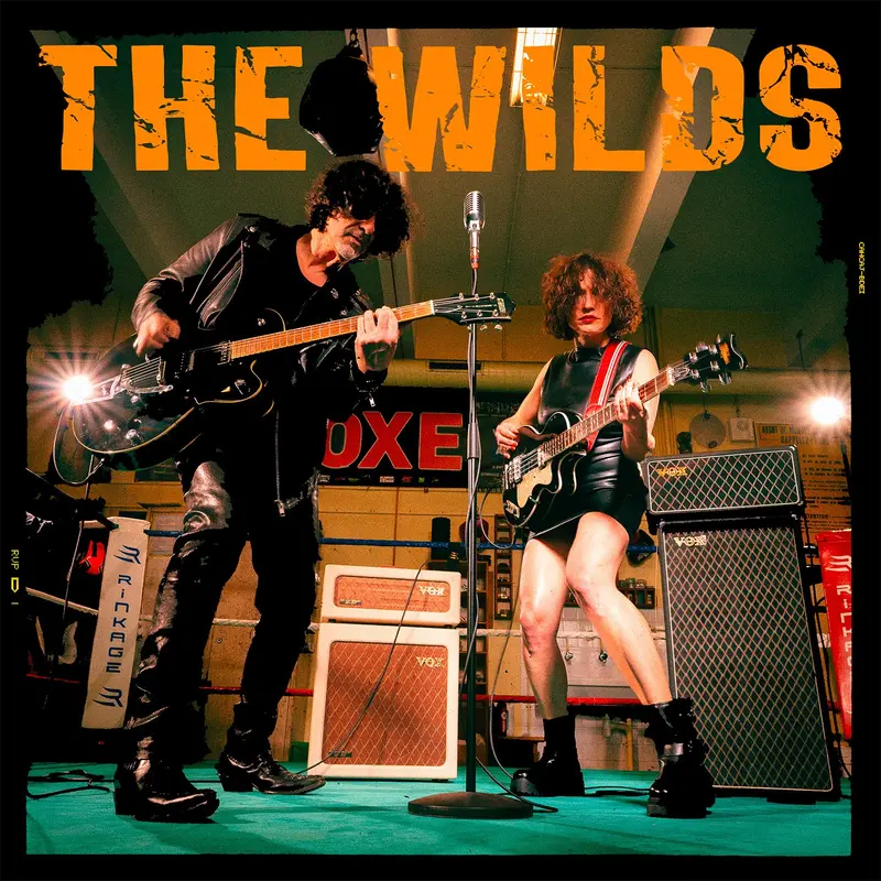 ROCK TO THE BONE - THE WILDS (VINYLE 33T)