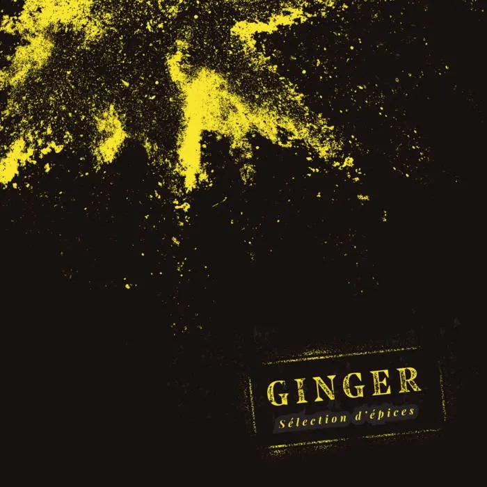 SÉLECTION D’ÉPICES - GINGER (CD)