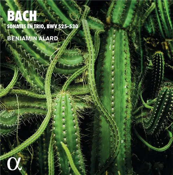 Sonates en trio BWV 525-530