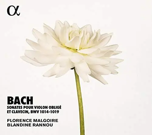 Sonates pour violon oblige et clavecin BWV 1014-1019