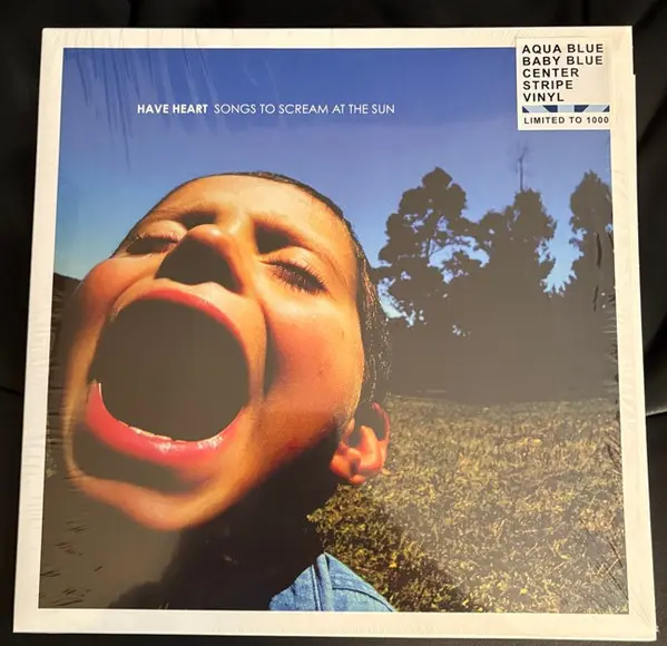 Songs To Scream At The Sun