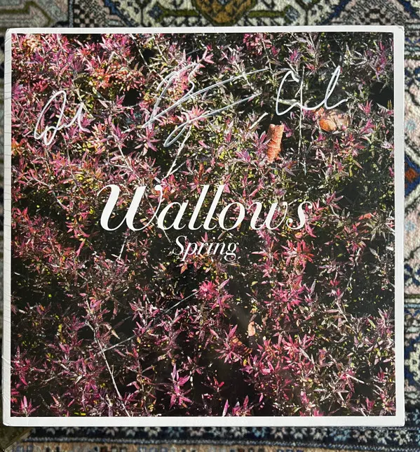 Spring Edition Collector Vinyle coloré