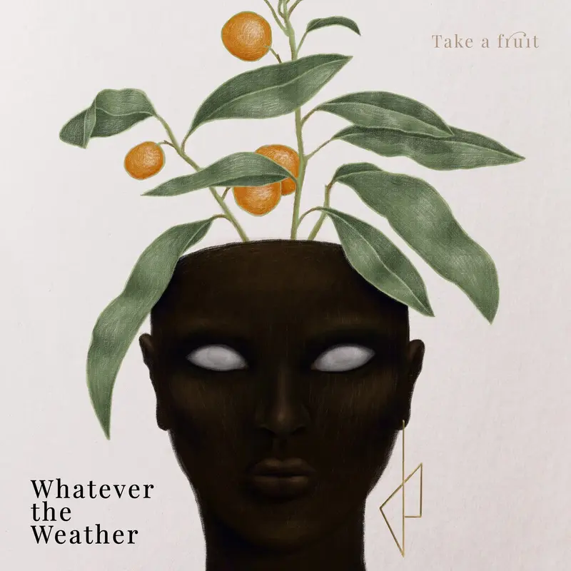TAKE A FRUIT - WHATEVER THE WEATHER (DOUBLE VINYLE 33T)