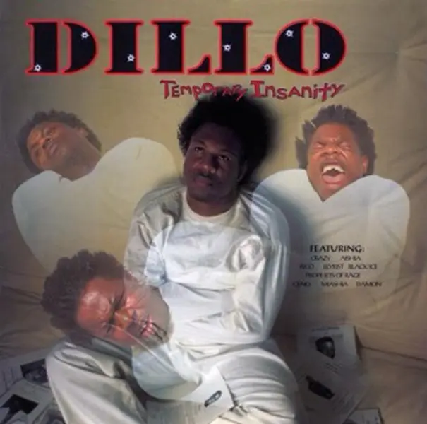 Temporary Insanity - Vinyle