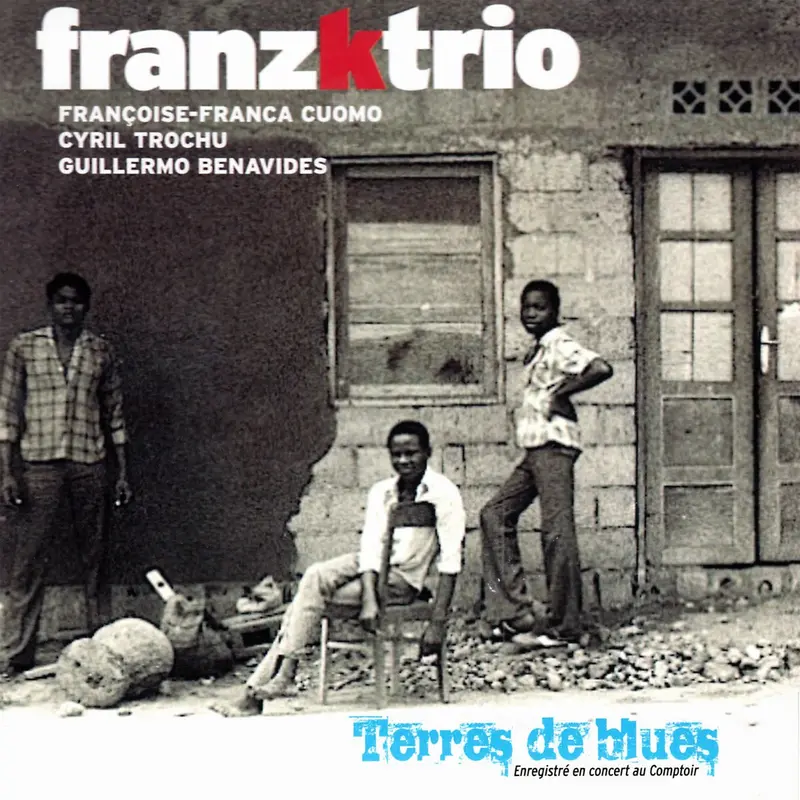 TERRES DE BLUES - FRANZKTRIO (CD)