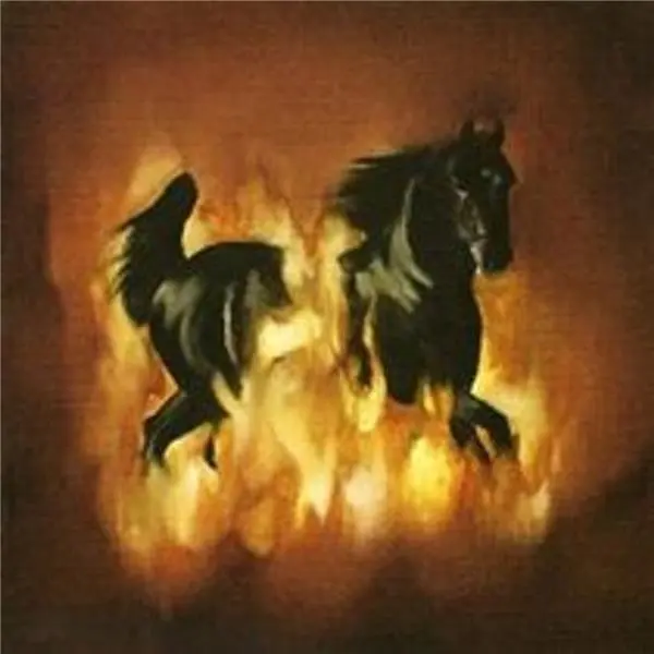 The Besnard Lakes are the dark horse