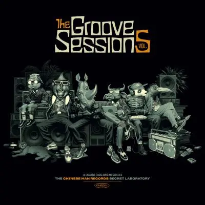 The Groove Sessions Volume 5 Edition Spéciale Fnac