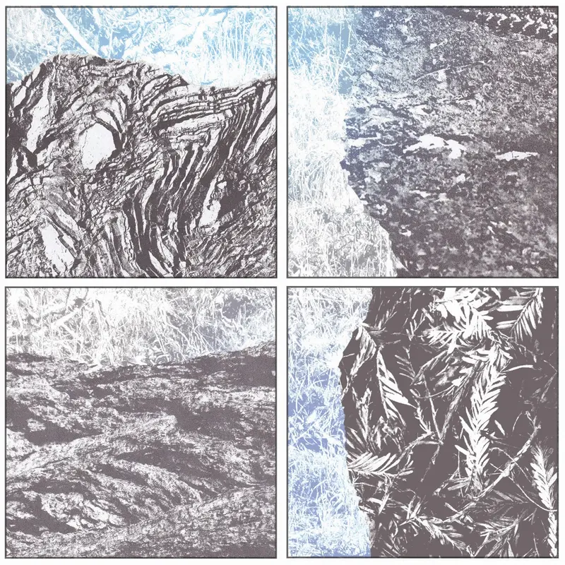 THE LAND BEHIND US - ARROYO (CD)
