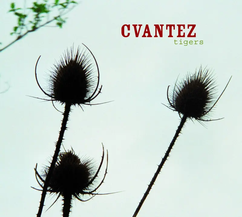 TIGERS - CVANTEZ (CD)