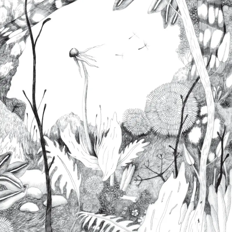TIME WHISPERS - BACK & FORTH (VINYLE 33T)