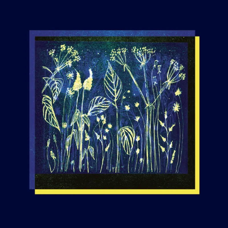 TRAVÈRSAS - BARRUT (CD)