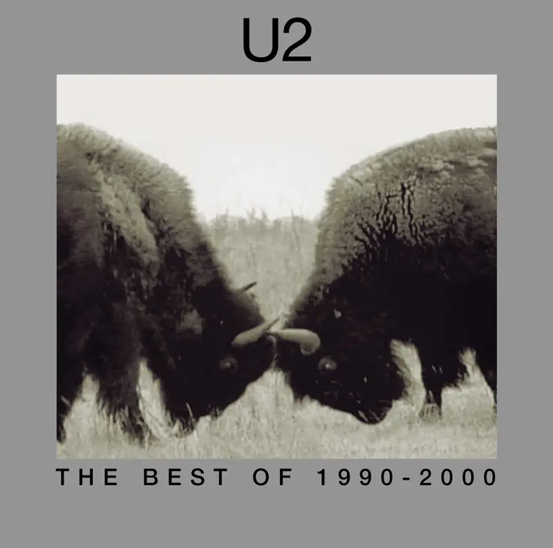 U2 | The Best Of - 1990-2000 - Vinyle