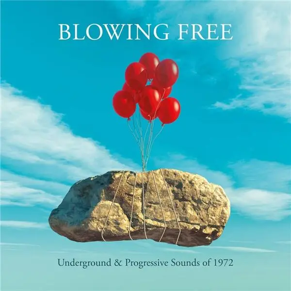 Underground & Progressive Sounds Of 1972 Coffret