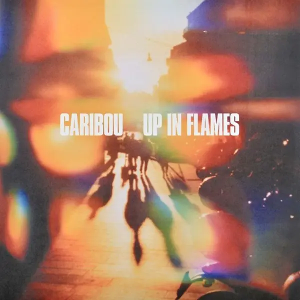 Up In Flames - Vinyle