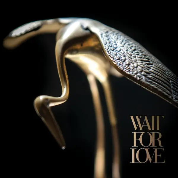 Wait For Love Vinyle Or