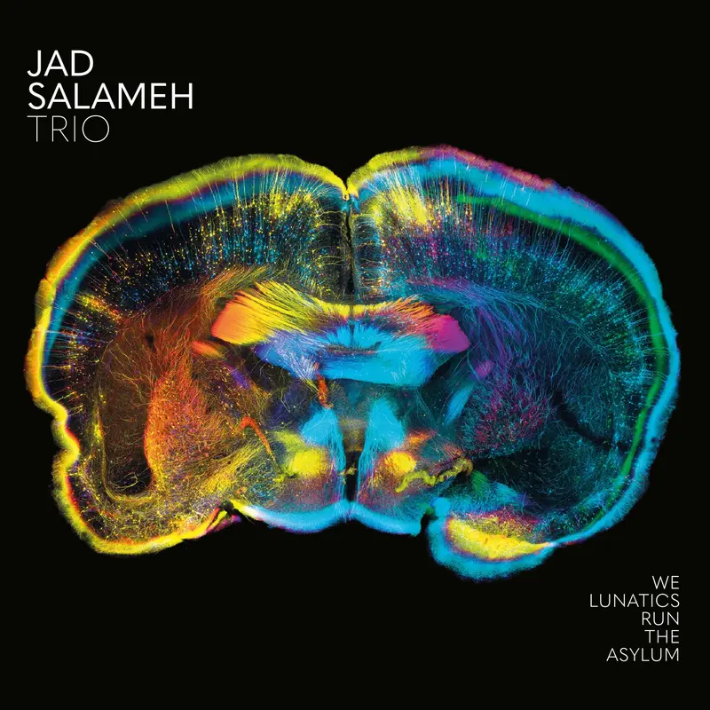 WE LUNATICS RUN THE ASYLUM - JAD SALAMEH (CD)