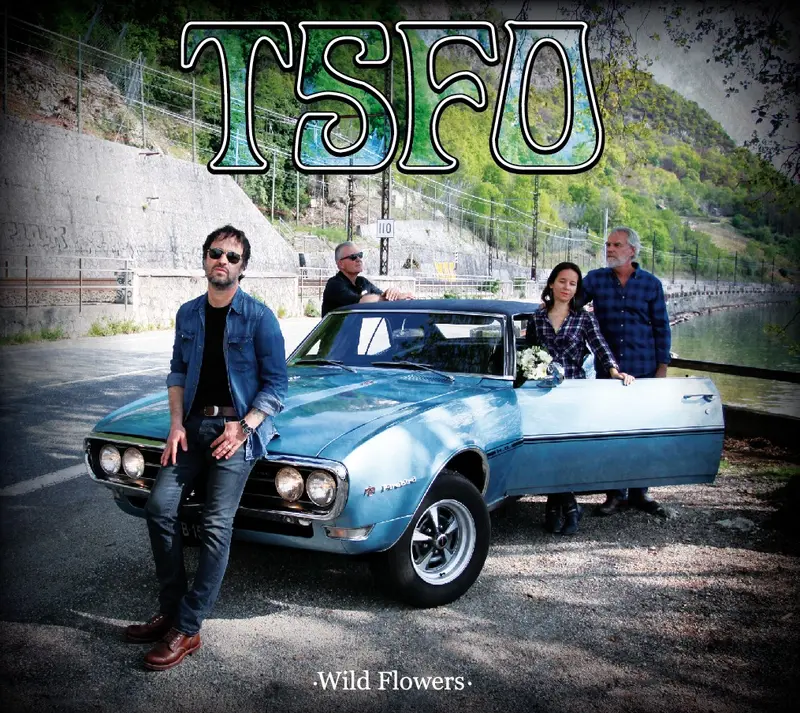 WILD FLOWERS - TSFO (THE SPRING FOLK ORCHESTRA) (CD)