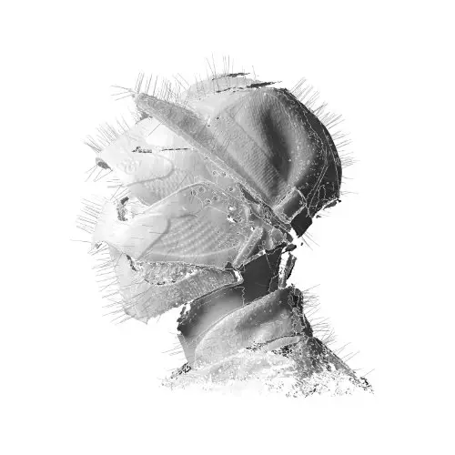 Woodkid | The Golden Age (CD)