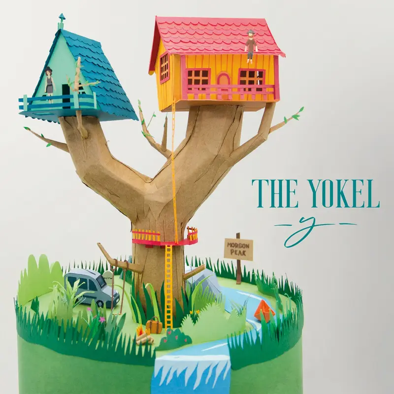 Y - YOKEL (DOUBLE VINYLE 33T)